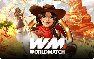 worldmatch-funny888